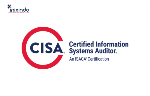 Information System Auditor