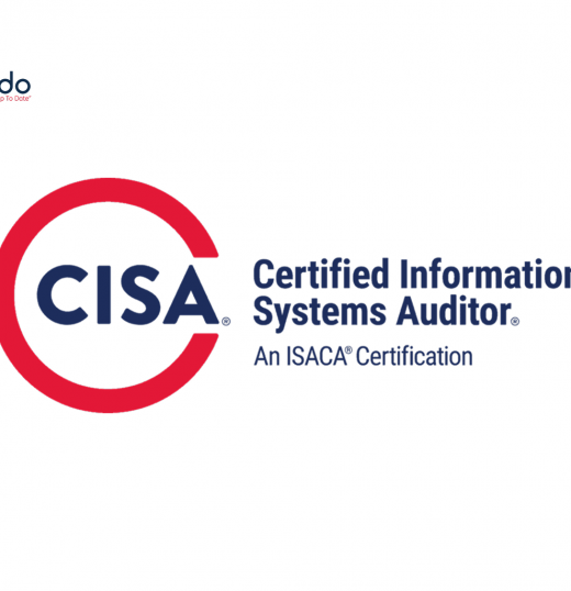 Information System Auditor