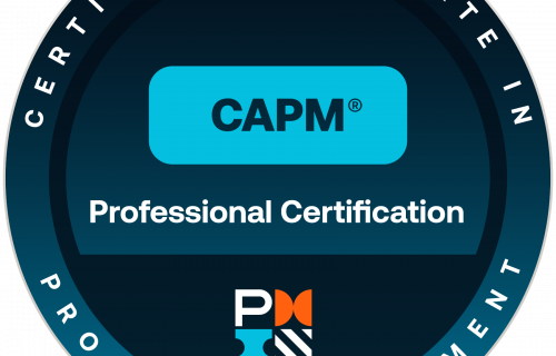 IT Project Management for CAPM Exam Preparation