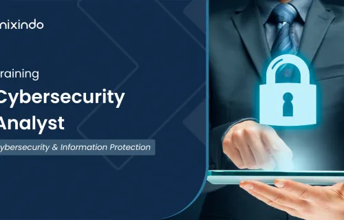 Cybersecurity Analyst