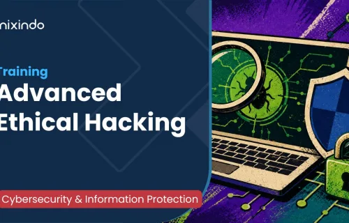 Ethical Hacking Practitioner