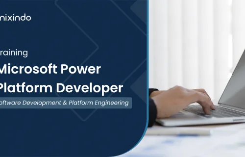 Microsoft Power Platform Developer